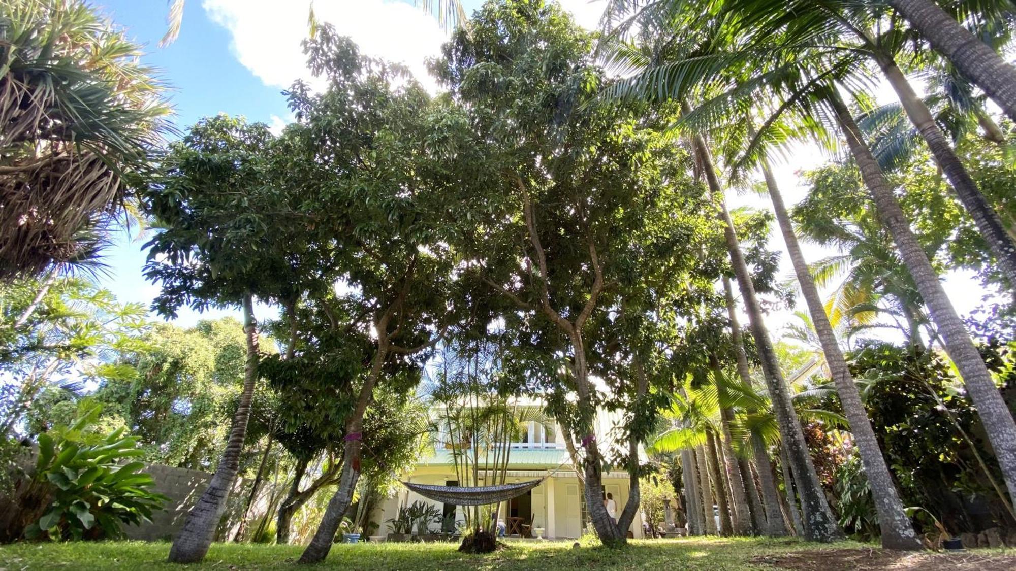 Coliver - Coliving A La Reunion Saint Pierre Exterior photo