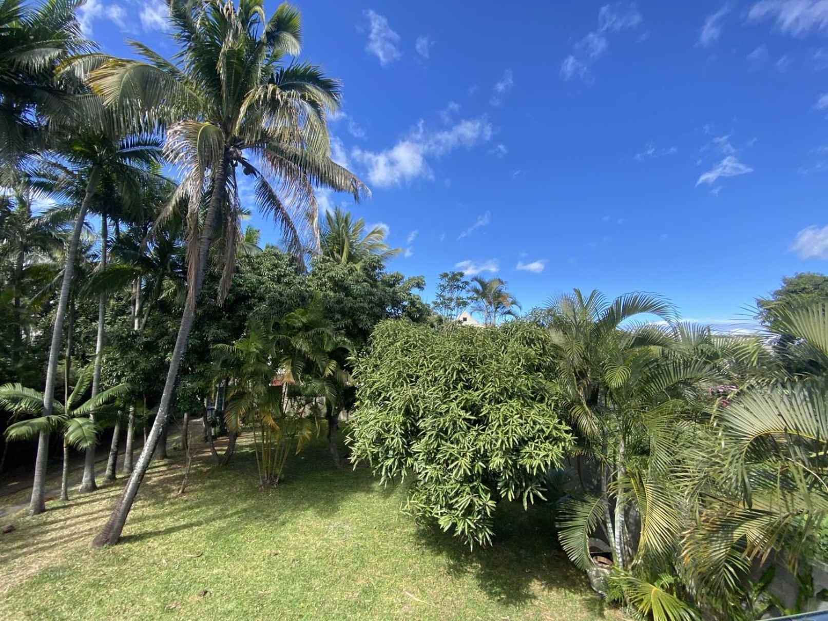 Coliver - Coliving A La Reunion Saint Pierre Exterior photo